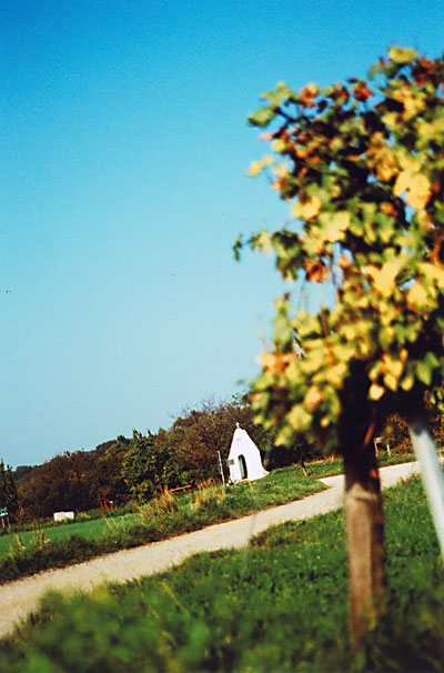 Kloster am Spitz