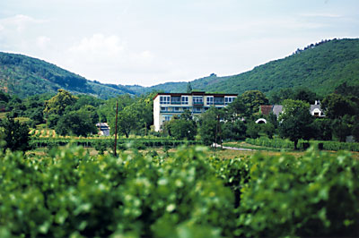 Kloster am Spitz